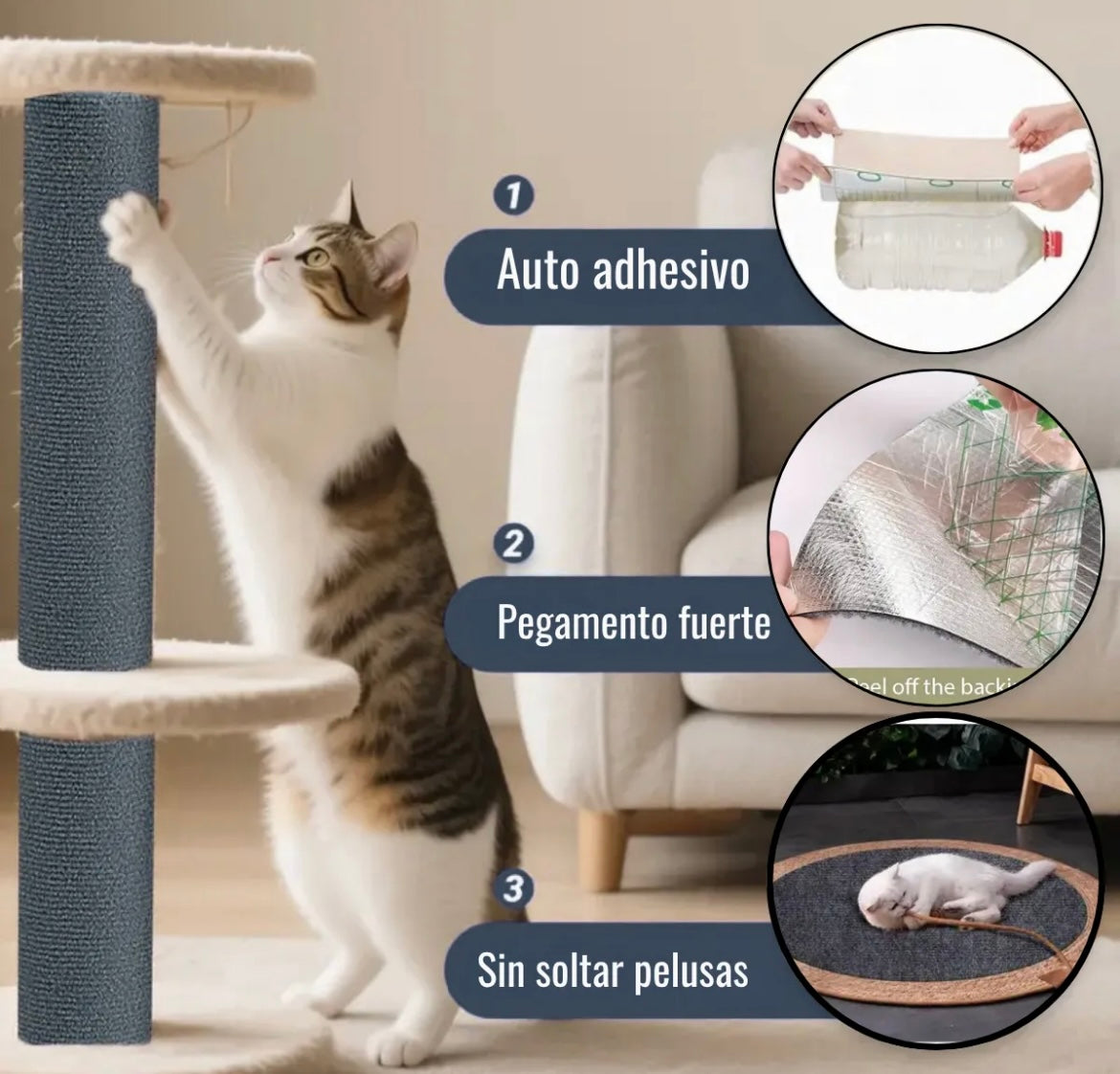 Rascador gato pared tapete