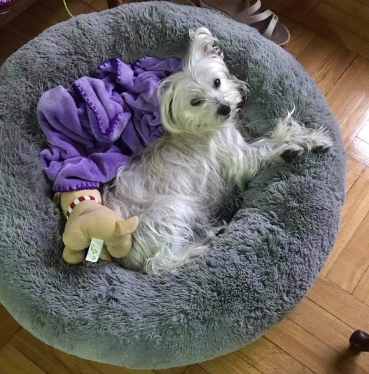 Gray helmet for bikers