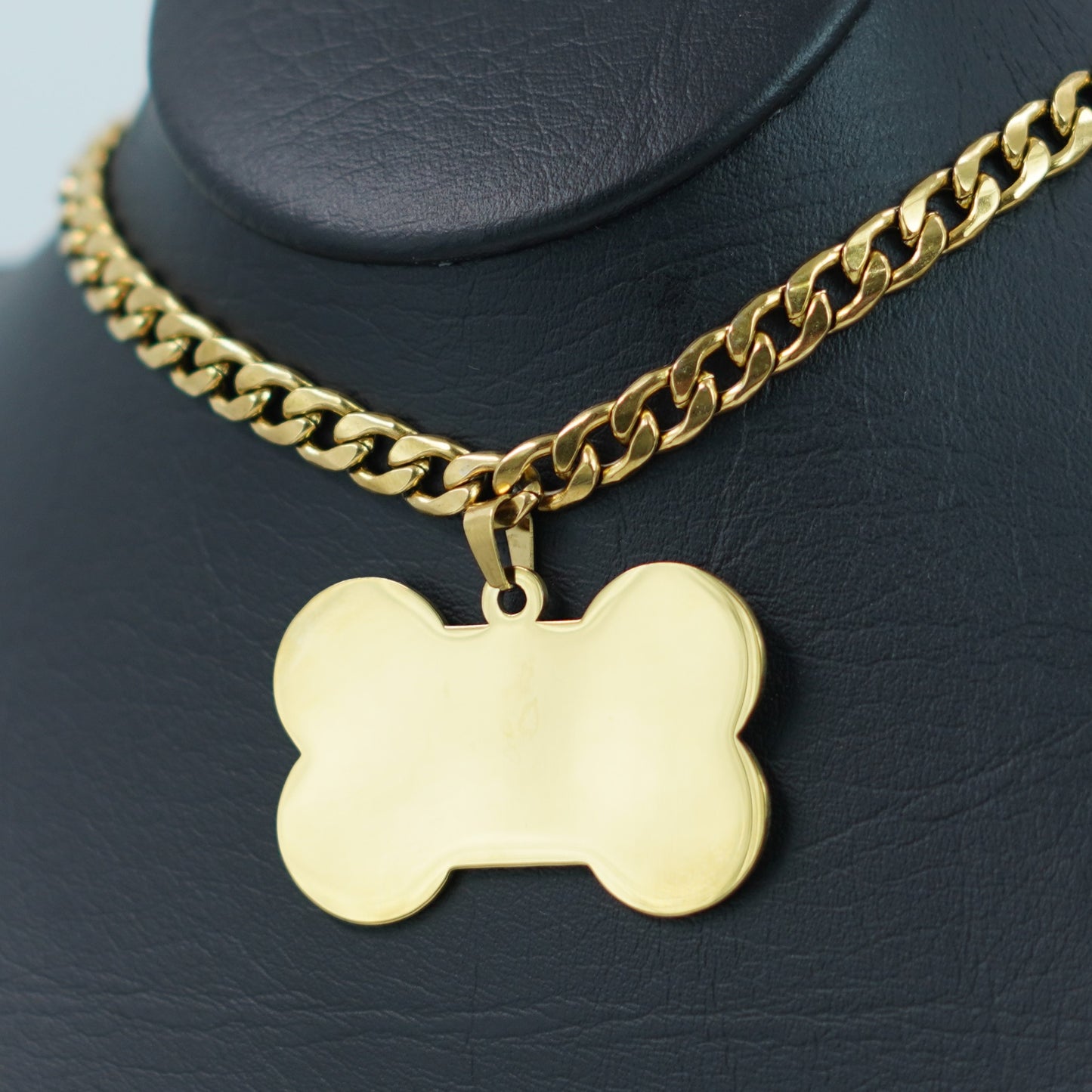 CADENA Y PLACA PARA PERRO