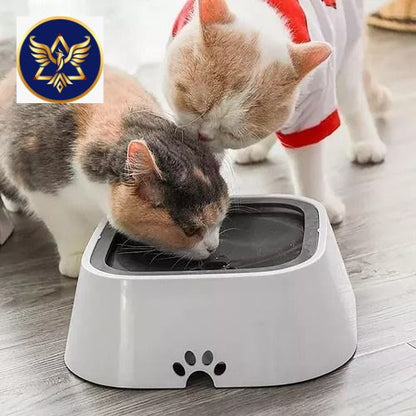 Fuente de gato o mascotas