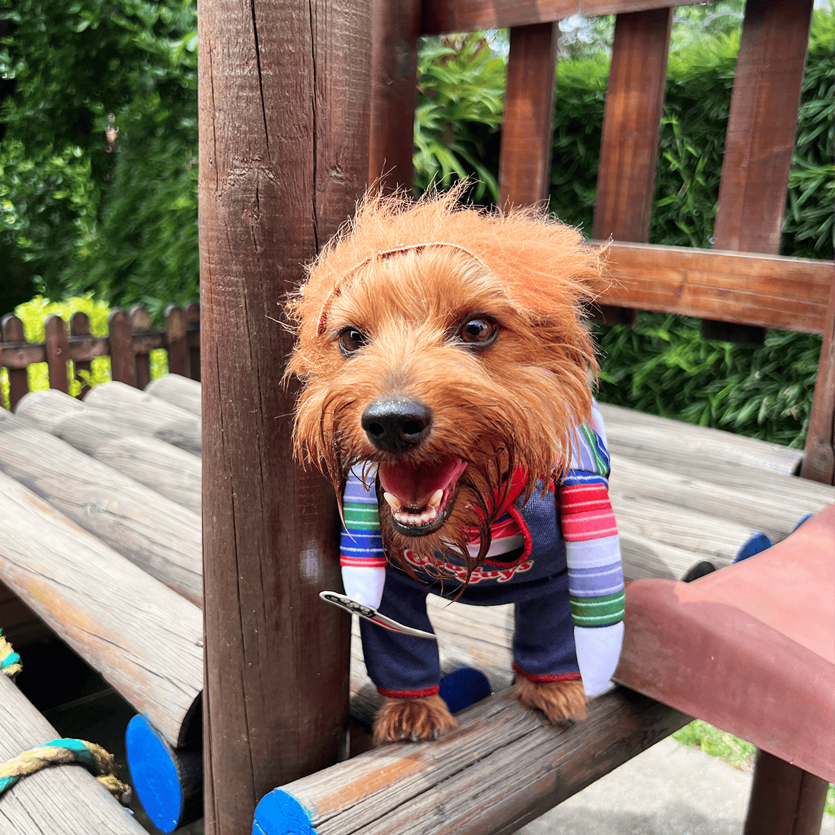 Disfraz Para Mascotas De Chucky chuky