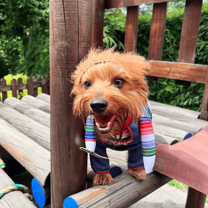 Disfraz Para Mascotas De Chucky chuky