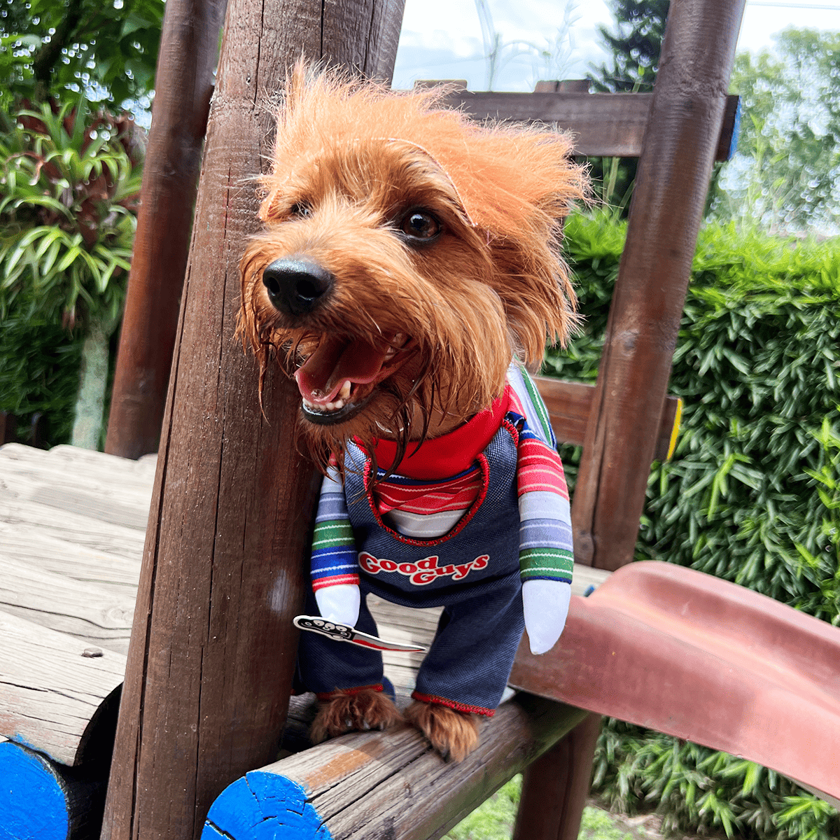 Disfraz Para Mascotas De Chucky chuky