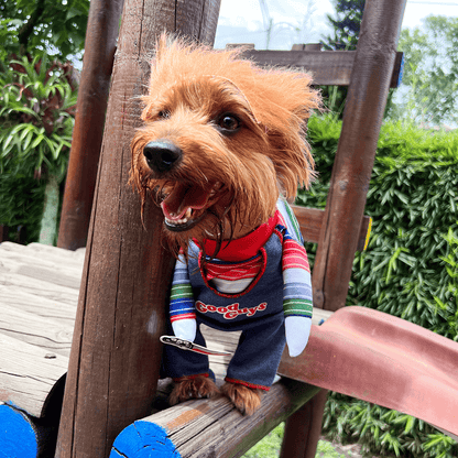 Disfraz Para Mascotas De Chucky chuky