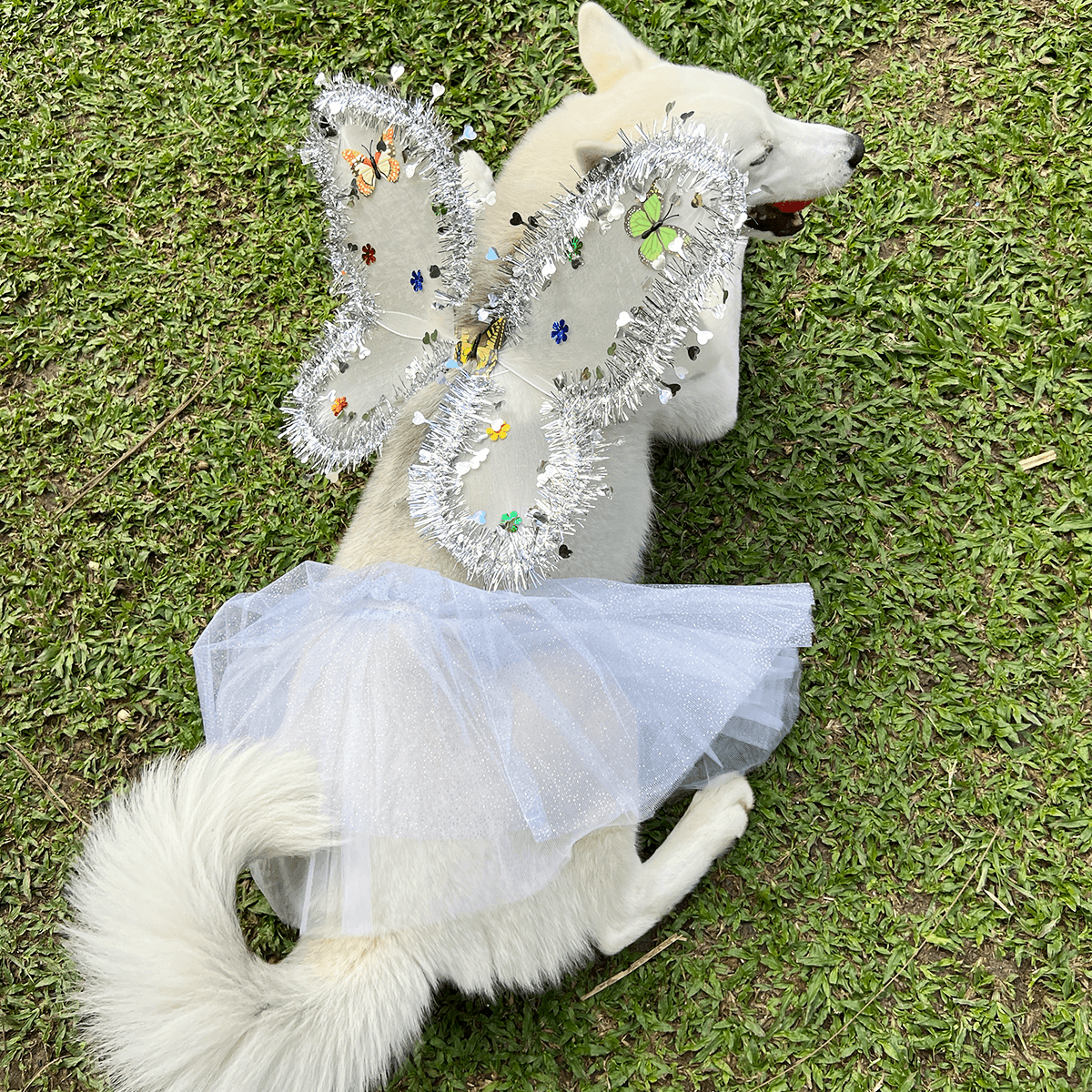 Gray helmet for bikers