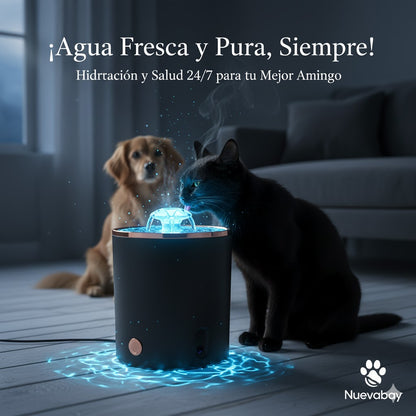 DI Fuente Mascota Negra