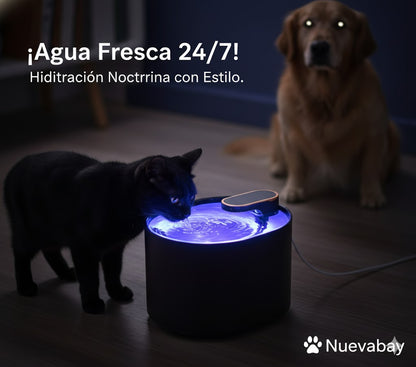 DI Fuente Mascota Negra