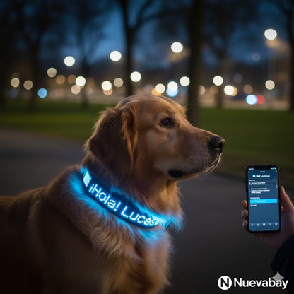 COLLAR LED INTELIGENTE