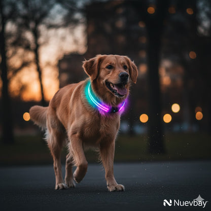 COLLAR LED INTELIGENTE