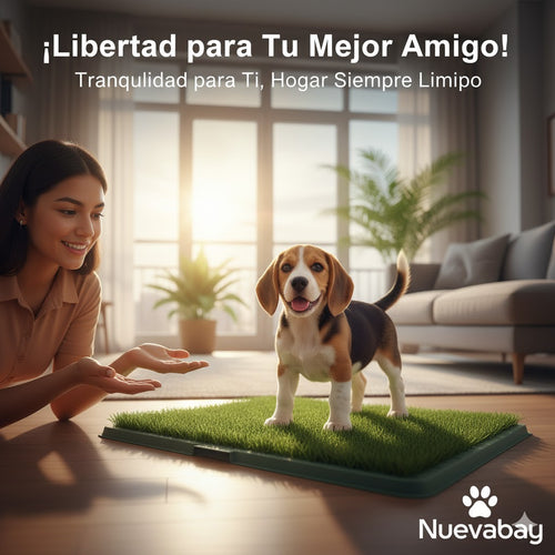 Tapete Mediano Baño Para Mascotas